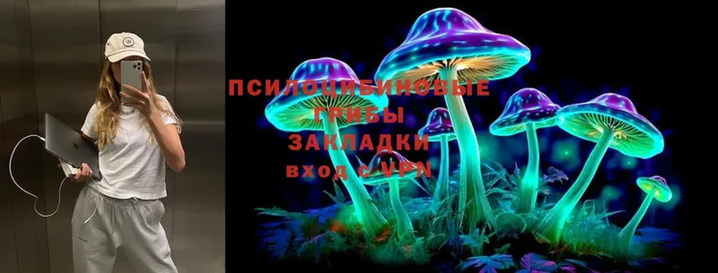 где купить наркоту  ссылка на мегу как зайти  Галлюциногенные грибы Magic Shrooms  Комсомольск 